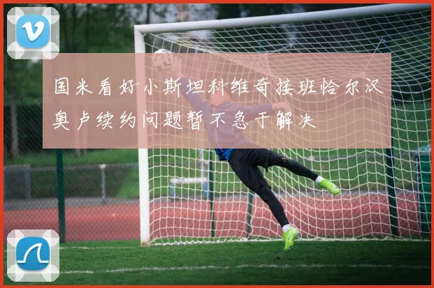 国米看好小斯坦科维奇接班恰尔汉奥卢续约问题暂不急于解决